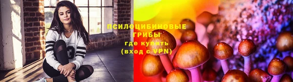 бошки Алексеевка